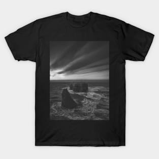 View of Pokeshaw Rock, New Brunswick Canada V4 T-Shirt